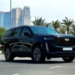 ff2bc428-a33c-4464-bcc0-b9054642f073 copy