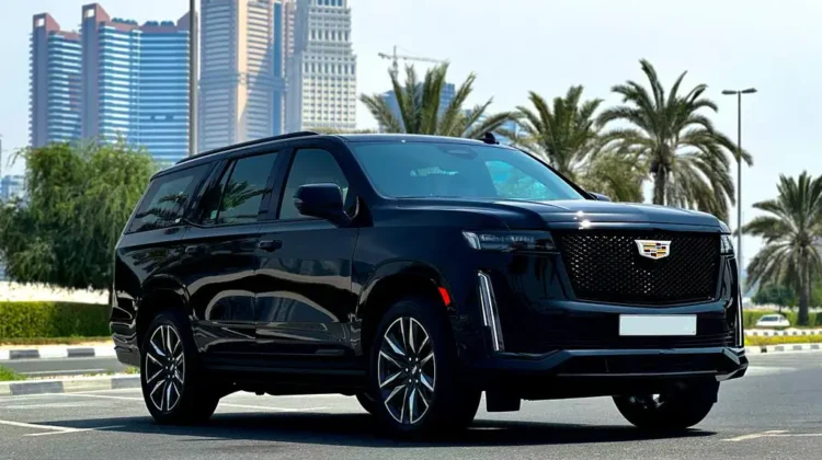 ff2bc428-a33c-4464-bcc0-b9054642f073 copy